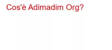 Cos'è Adimadim Org?