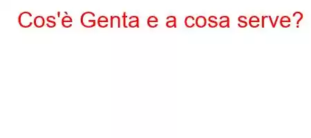 Cos'è Genta e a cosa serve?