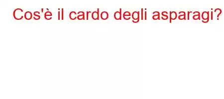 Cos'è il cardo degli asparagi?