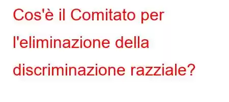 Cos'è il Comitato per l'eliminazione della discriminazione razziale