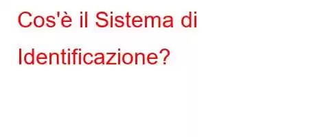 Cos'è il Sistema di Identificazione?