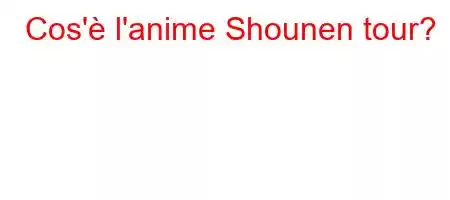 Cos'è l'anime Shounen tour?