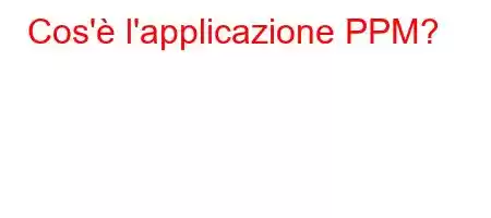 Cos'è l'applicazione PPM?