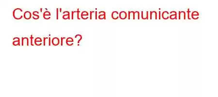 Cos'è l'arteria comunicante anteriore