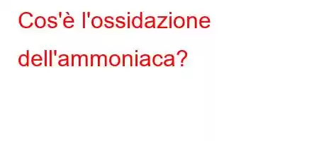 Cos'è l'ossidazione dell'ammoniaca