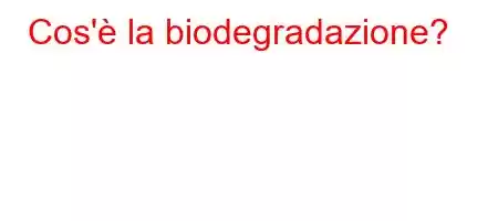 Cos'è la biodegradazione?