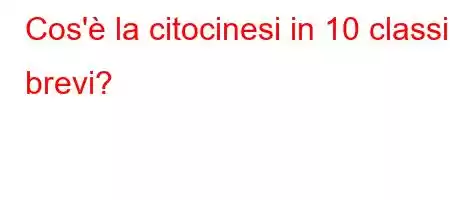 Cos'è la citocinesi in 10 classi brevi?