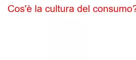 Cos'è la cultura del consumo