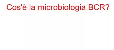 Cos'è la microbiologia BCR?