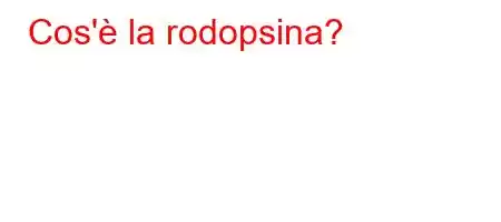 Cos'è la rodopsina?