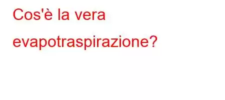 Cos'è la vera evapotraspirazione?