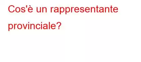 Cos'è un rappresentante provinciale?