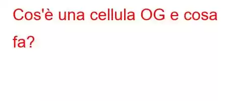 Cos'è una cellula OG e cosa fa?