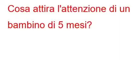 Cosa attira l'attenzione di un bambino di 5 mesi?