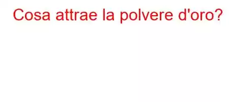 Cosa attrae la polvere d'oro?