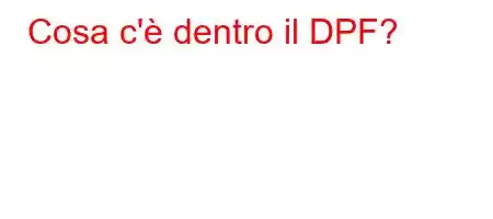 Cosa c'è dentro il DPF