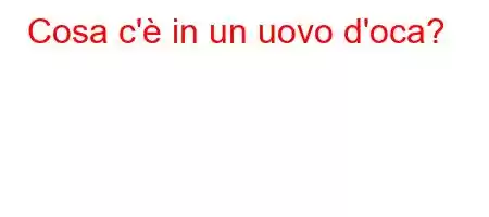 Cosa c'è in un uovo d'oca