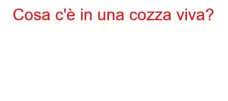 Cosa c'è in una cozza viva?