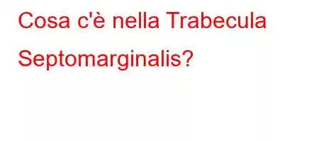 Cosa c'è nella Trabecula Septomarginalis