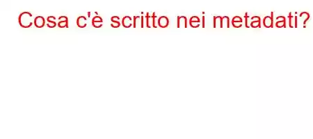 Cosa c'è scritto nei metadati?