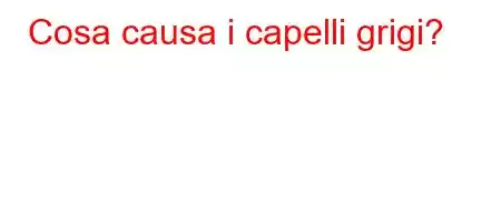 Cosa causa i capelli grigi