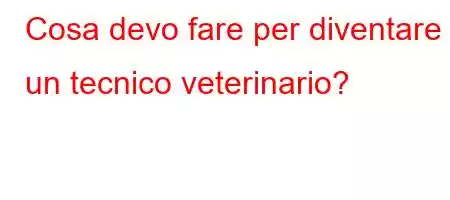 Cosa devo fare per diventare un tecnico veterinario?