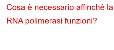 Cosa è necessario affinché la RNA polimerasi funzioni?