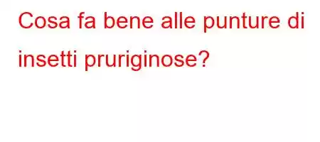 Cosa fa bene alle punture di insetti pruriginose?