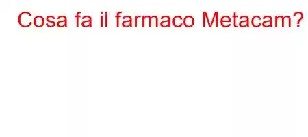 Cosa fa il farmaco Metacam