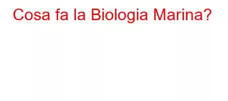 Cosa fa la Biologia Marina