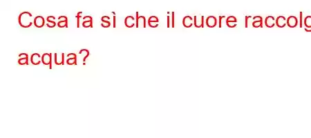 Cosa fa sì che il cuore raccolga acqua?