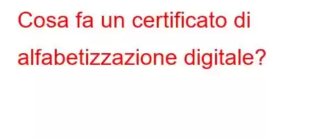 Cosa fa un certificato di alfabetizzazione digitale?