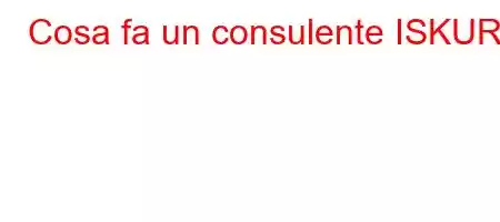 Cosa fa un consulente ISKUR?