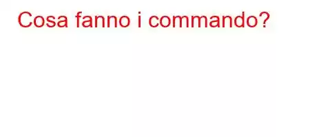 Cosa fanno i commando?