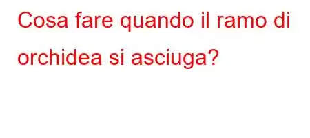 Cosa fare quando il ramo di orchidea si asciuga