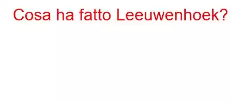 Cosa ha fatto Leeuwenhoek?