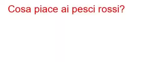 Cosa piace ai pesci rossi?