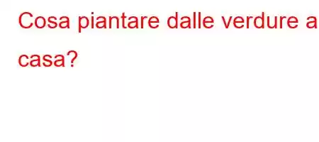 Cosa piantare dalle verdure a casa?