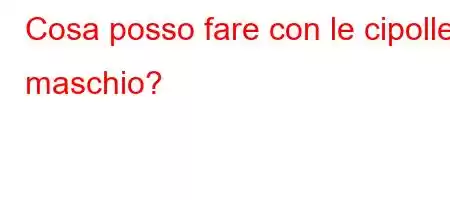 Cosa posso fare con le cipolle maschio