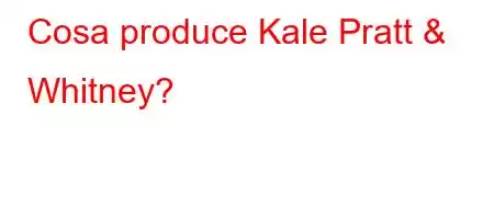 Cosa produce Kale Pratt & Whitney?