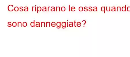 Cosa riparano le ossa quando sono danneggiate?