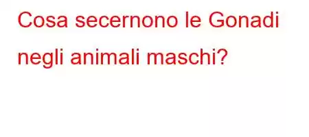 Cosa secernono le Gonadi negli animali maschi?