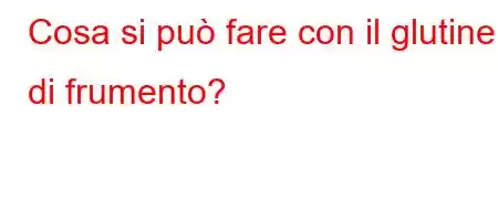 Cosa si può fare con il glutine di frumento