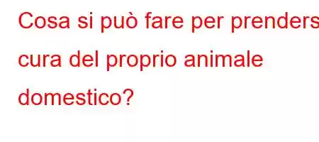 Cosa si può fare per prendersi cura del proprio animale domestico?