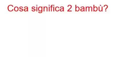 Cosa significa 2 bambù