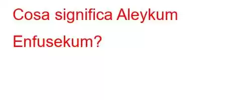 Cosa significa Aleykum Enfusekum