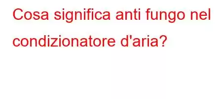 Cosa significa anti fungo nel condizionatore d'aria?