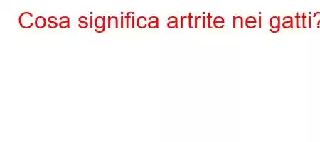 Cosa significa artrite nei gatti