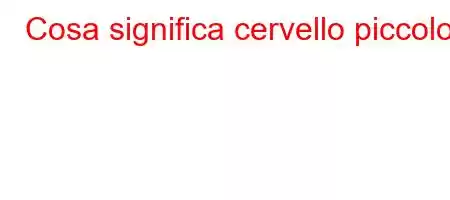 Cosa significa cervello piccolo?