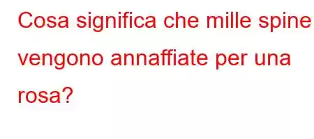 Cosa significa che mille spine vengono annaffiate per una rosa